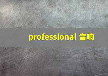 professional 音响